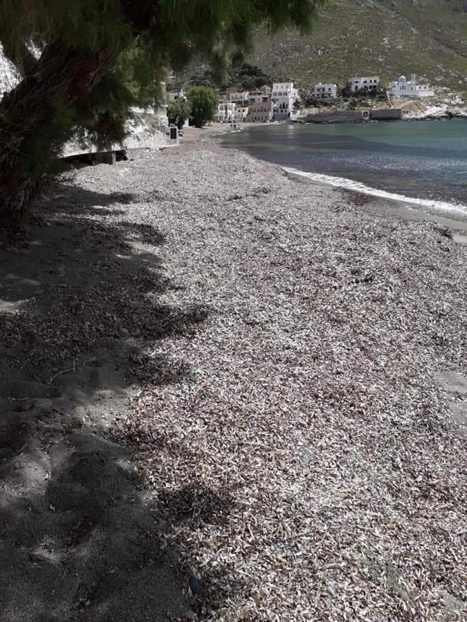 Kalymnos Beach House Panormos  Exterior photo